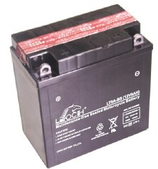 LT9A-BS, Герметизированные аккумуляторные батареи