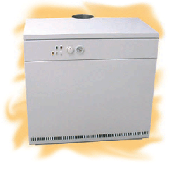 Therm 60 E, Напольный чугунный газовый котел с электропитанием для отопления